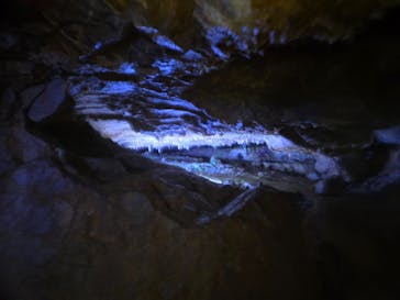 飛騨大鍾乳洞＆大橋コレクション館に投稿された画像（2025/7/6）