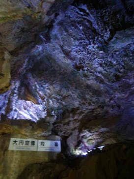 飛騨大鍾乳洞＆大橋コレクション館に投稿された画像（2025/7/6）