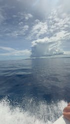 ONEマリンに投稿された画像（2025/7/6）