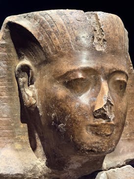 ACN ラムセス大王展 ファラオたちの黄金に投稿された画像（2025/7/6）