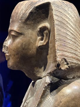 ACN ラムセス大王展 ファラオたちの黄金に投稿された画像（2025/7/6）