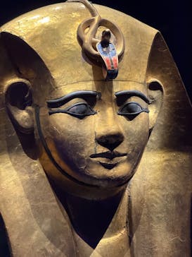 ACN ラムセス大王展 ファラオたちの黄金に投稿された画像（2025/7/6）