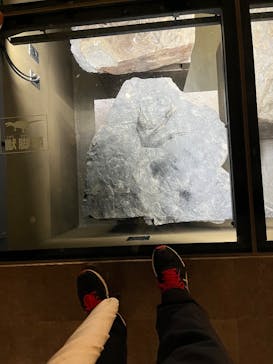 福井県立恐竜博物館に投稿された画像（2025/7/6）