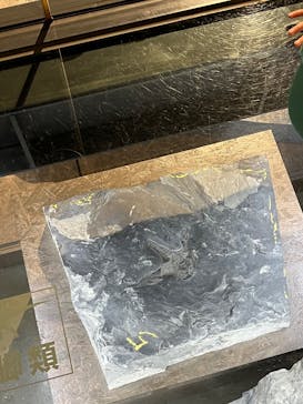 福井県立恐竜博物館に投稿された画像（2025/7/6）