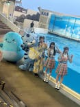 新江ノ島水族館に投稿された画像（2025/7/7）