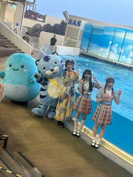 新江ノ島水族館に投稿された画像（2025/7/6）