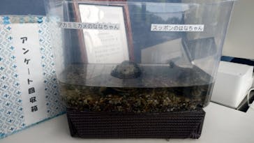 滋賀県立琵琶湖博物館に投稿された画像（2025/7/6）