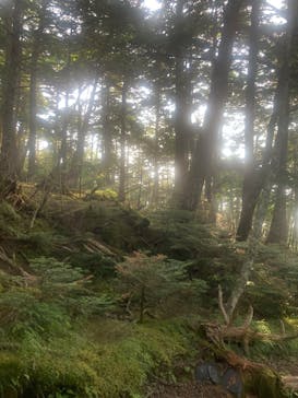 富士山吉田ルート（山梨県）に投稿された画像（2025/7/6）
