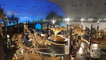 福井県立恐竜博物館に投稿された画像（2025/7/6）