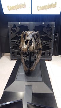 福井県立恐竜博物館に投稿された画像（2025/7/6）