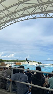 沖縄美ら海水族館に投稿された画像（2025/7/6）