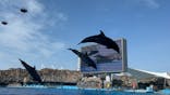 名古屋港水族館に投稿された画像（2025/7/7）