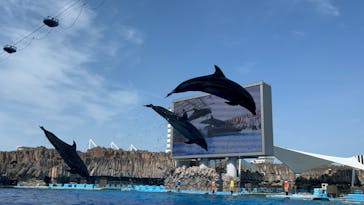 名古屋港水族館に投稿された画像（2025/7/7）