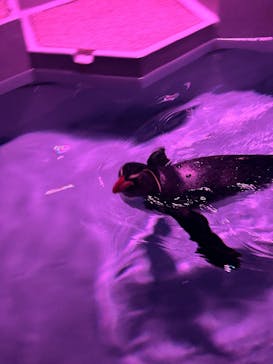 AOAO SAPPOROに投稿された画像（2025/7/7）