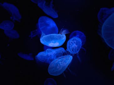 AOAO SAPPOROに投稿された画像（2025/7/7）