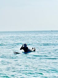 Beach Session（ビーチセッション）に投稿された画像（2025/7/7）