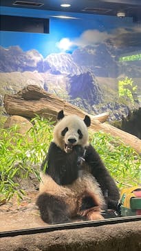 恩賜上野動物園に投稿された画像（2025/7/7）