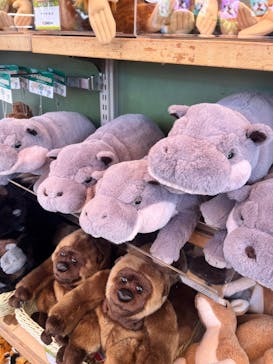 恩賜上野動物園に投稿された画像（2025/7/7）