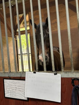 ノーザンホースパークに投稿された画像（2025/7/7）