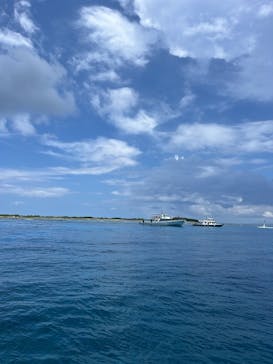 M.a.r.i.n.e Factoryに投稿された画像（2025/7/7）