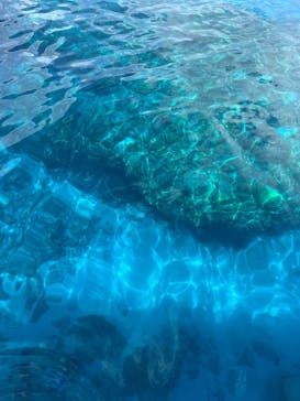 M.a.r.i.n.e Factoryに投稿された画像（2025/7/7）