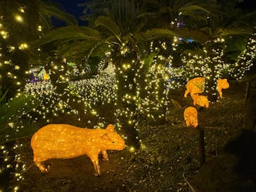 伊豆高原グランイルミに投稿された画像（2025/7/7）