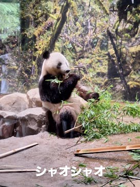 恩賜上野動物園に投稿された画像（2025/7/7）