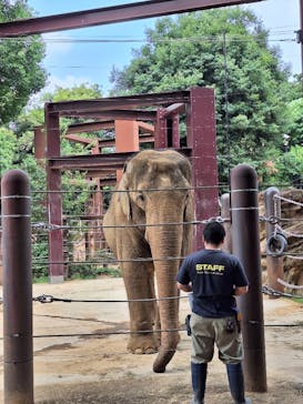 恩賜上野動物園に投稿された画像（2025/7/7）