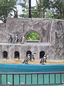 恩賜上野動物園に投稿された画像（2025/7/7）