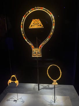 ACN ラムセス大王展 ファラオたちの黄金に投稿された画像（2025/7/7）