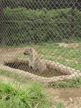 千葉市動物公園に投稿された画像（2025/7/7）