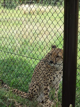 千葉市動物公園に投稿された画像（2025/7/7）