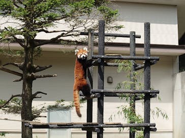 千葉市動物公園に投稿された画像（2025/7/7）