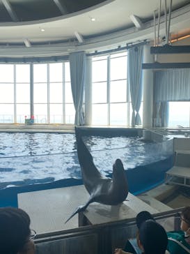 アクアワールド茨城県大洗水族館に投稿された画像（2025/7/7）