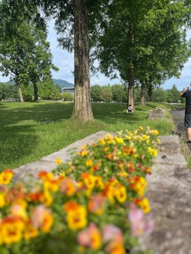 滋賀農業公園ブルーメの丘に投稿された画像（2025/7/7）