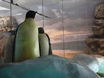 名古屋港水族館に投稿された画像（2025/7/7）