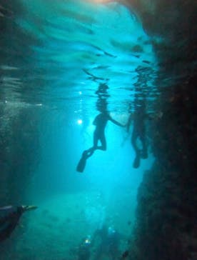 武藤潜水に投稿された画像（2025/7/7）