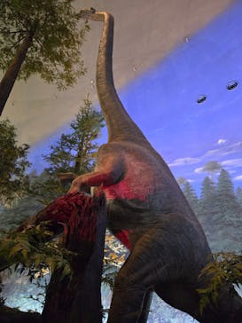 福井県立恐竜博物館に投稿された画像（2025/7/7）