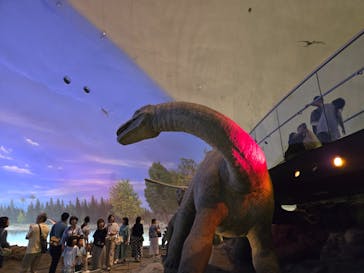 福井県立恐竜博物館に投稿された画像（2025/7/7）
