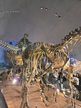 福井県立恐竜博物館に投稿された画像（2025/7/7）