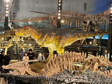 福井県立恐竜博物館に投稿された画像（2025/7/7）