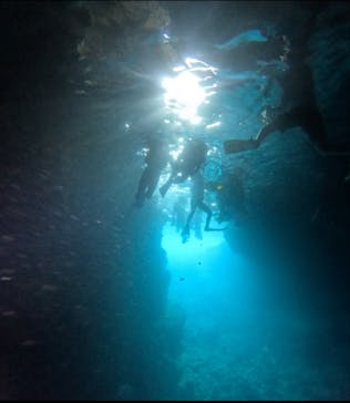 武藤潜水に投稿された画像（2025/7/7）