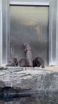 仙台うみの杜水族館に投稿された画像（2025/7/7）