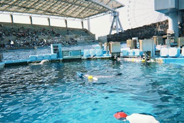 名古屋港水族館に投稿された画像（2025/7/7）