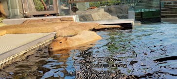 AQUARIUM × ART　atoaに投稿された画像（2025/7/7）