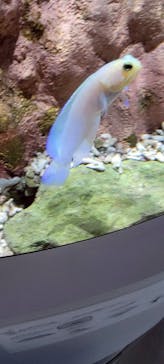 AQUARIUM × ART　atoaに投稿された画像（2025/7/7）