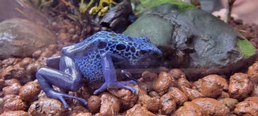 AQUARIUM × ART　atoaに投稿された画像（2025/7/7）