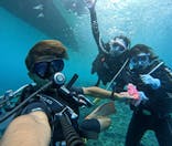 青の洞窟専門店　沖縄ダイビングショップ和に投稿された画像（2025/7/7）