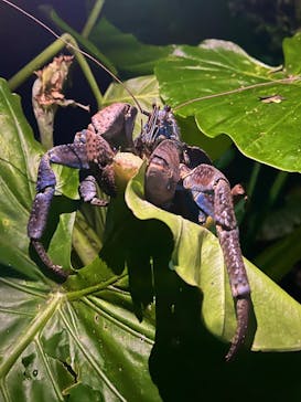 OKIDOKIマリンツアー宮古島に投稿された画像（2025/7/7）