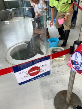 しながわ水族館に投稿された画像（2025/7/7）